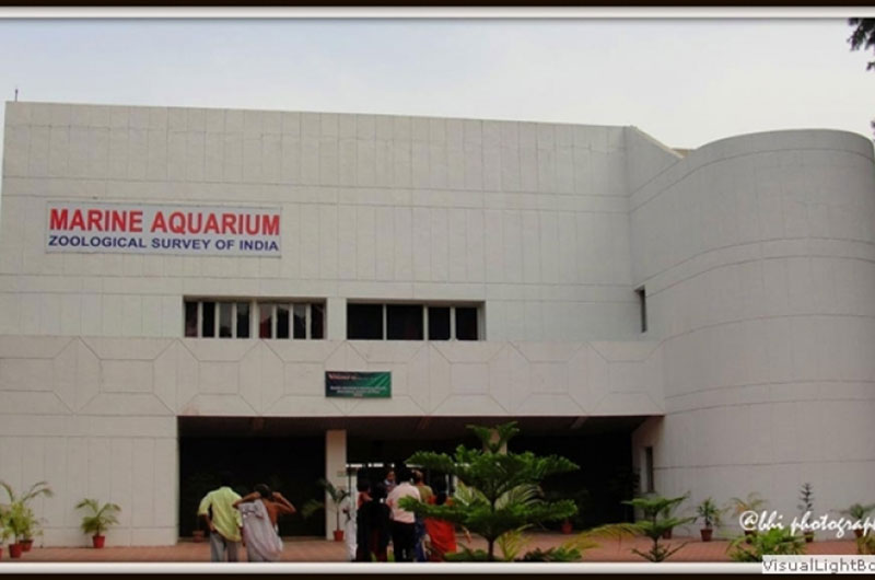 The MARINE AQUARIUM and Research Centre